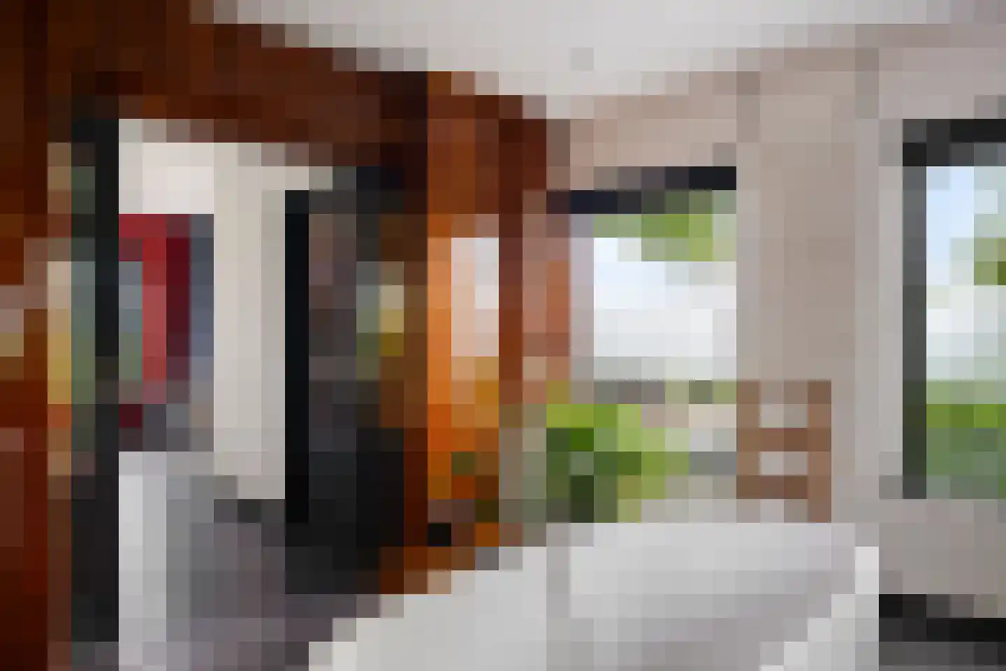 Aldlânsdyk 21 Jelsum thumbnail 47