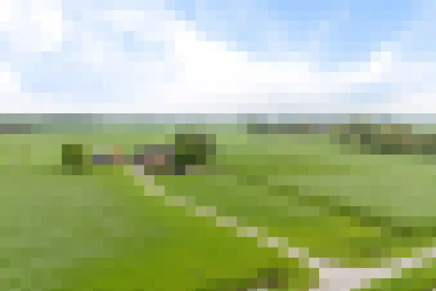 Aldlânsdyk 21 Jelsum thumbnail 5