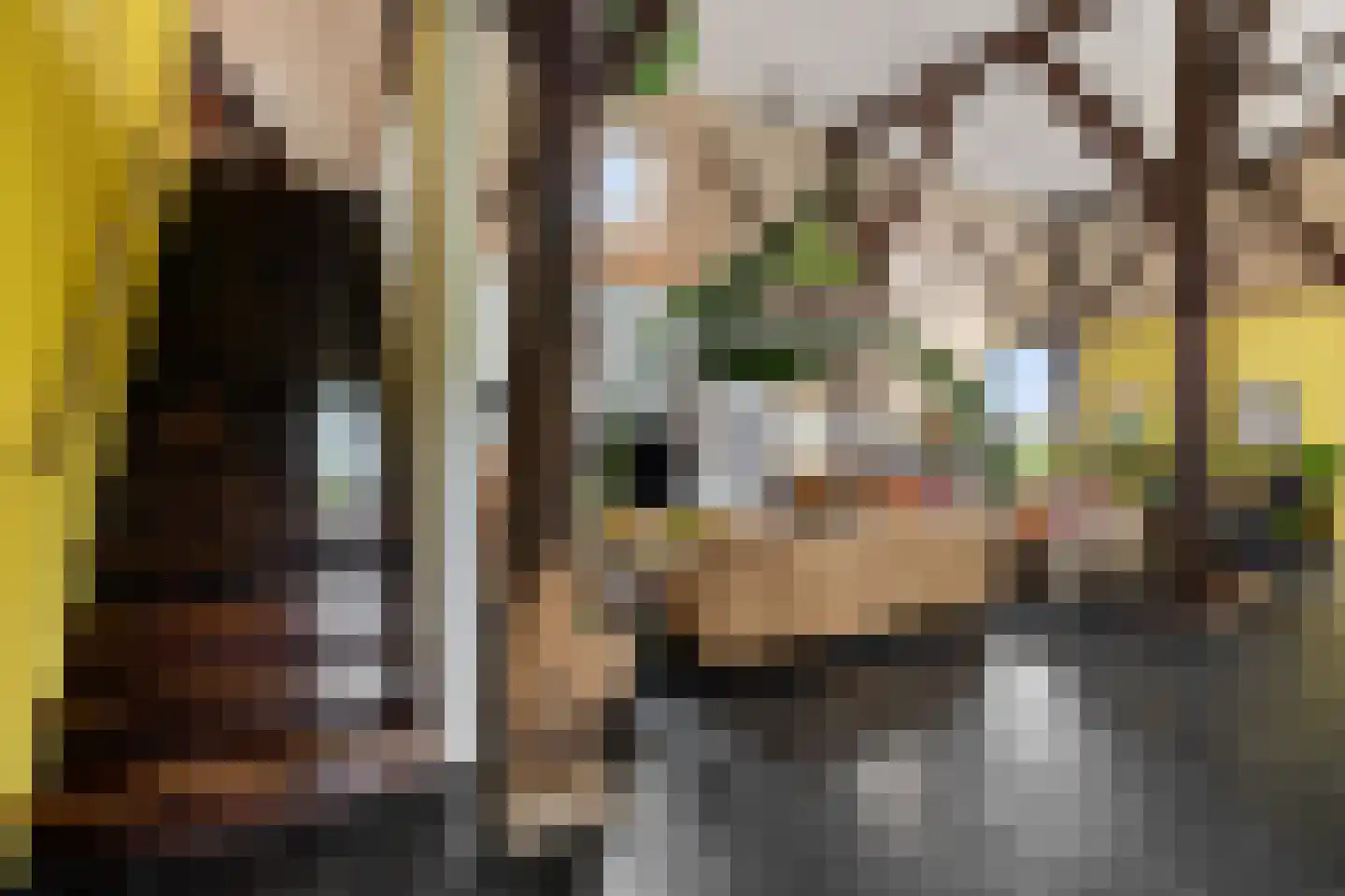 Aldlânsdyk 21 Jelsum thumbnail 50