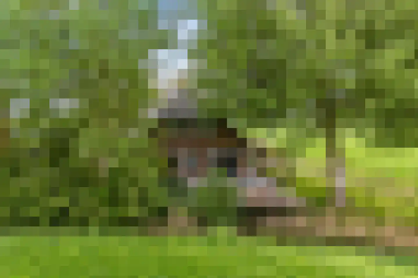 Aldlânsdyk 21 Jelsum thumbnail 57