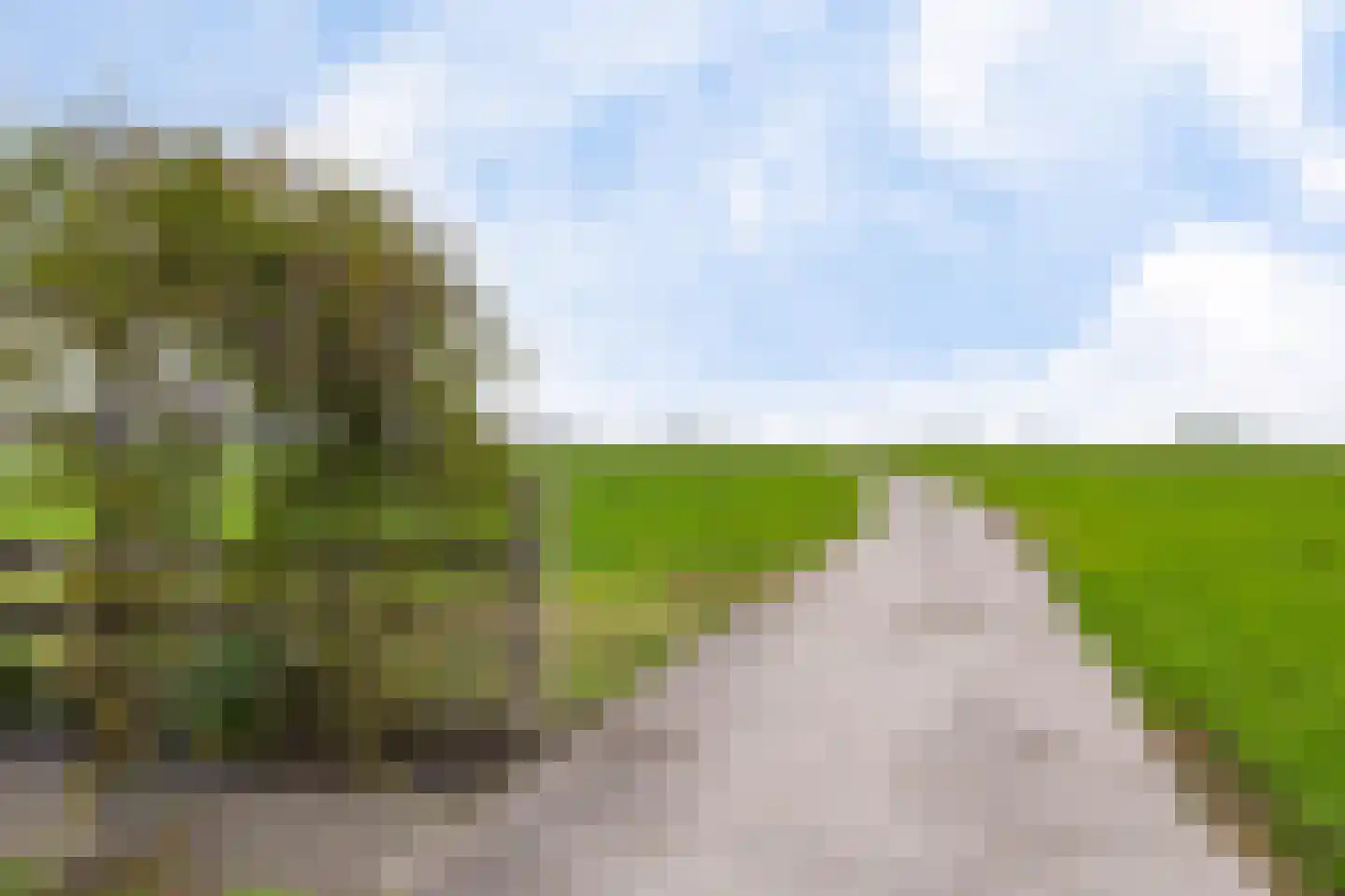 Aldlânsdyk 21 Jelsum thumbnail 6