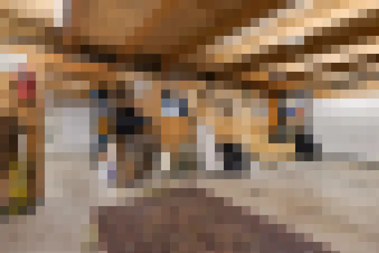 Aldlânsdyk 21 Jelsum thumbnail 60