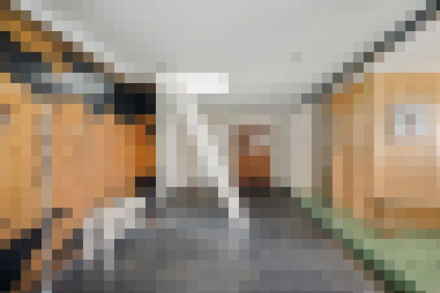 Aldlânsdyk 21 Jelsum thumbnail 65