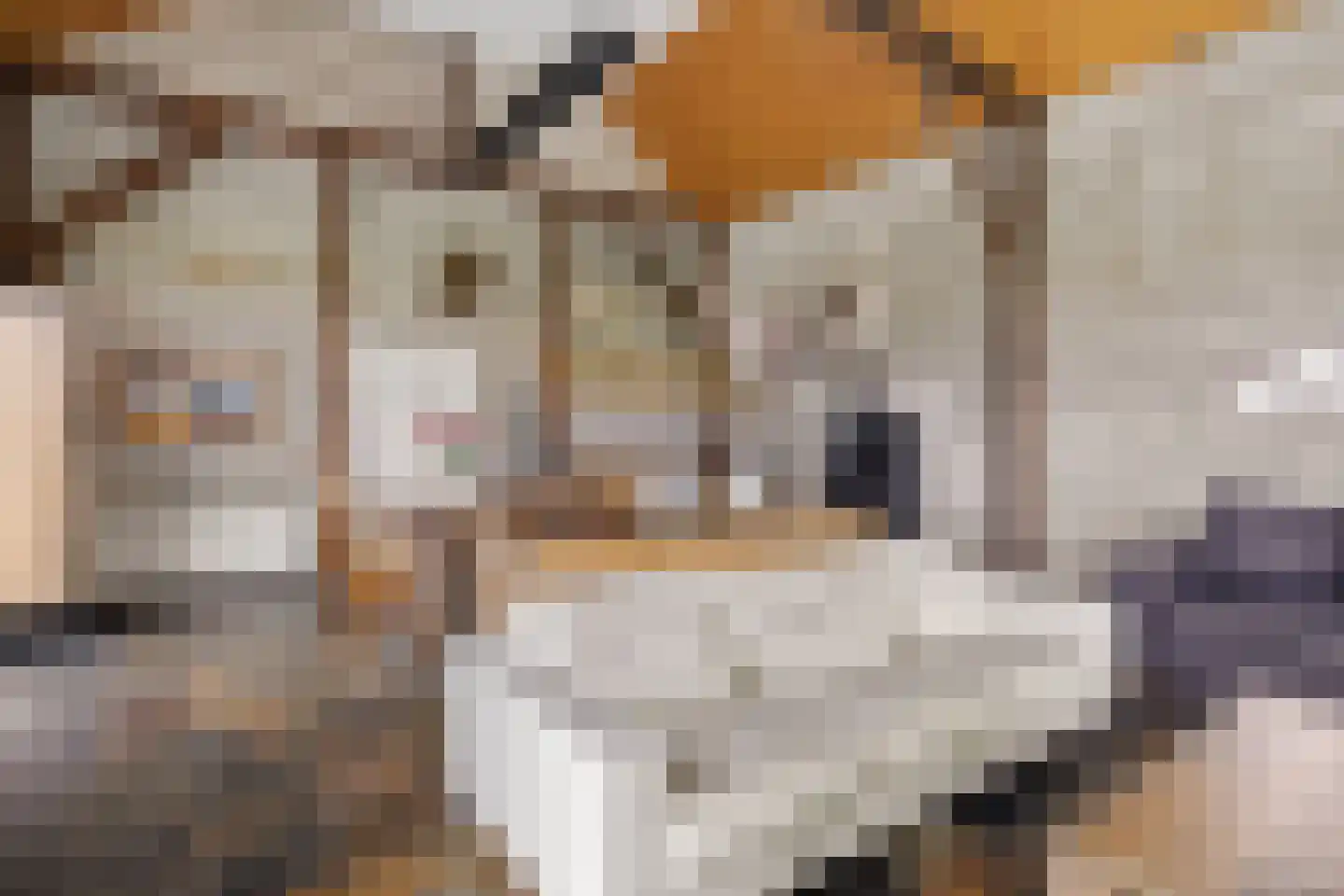 Aldlânsdyk 21 Jelsum thumbnail 68