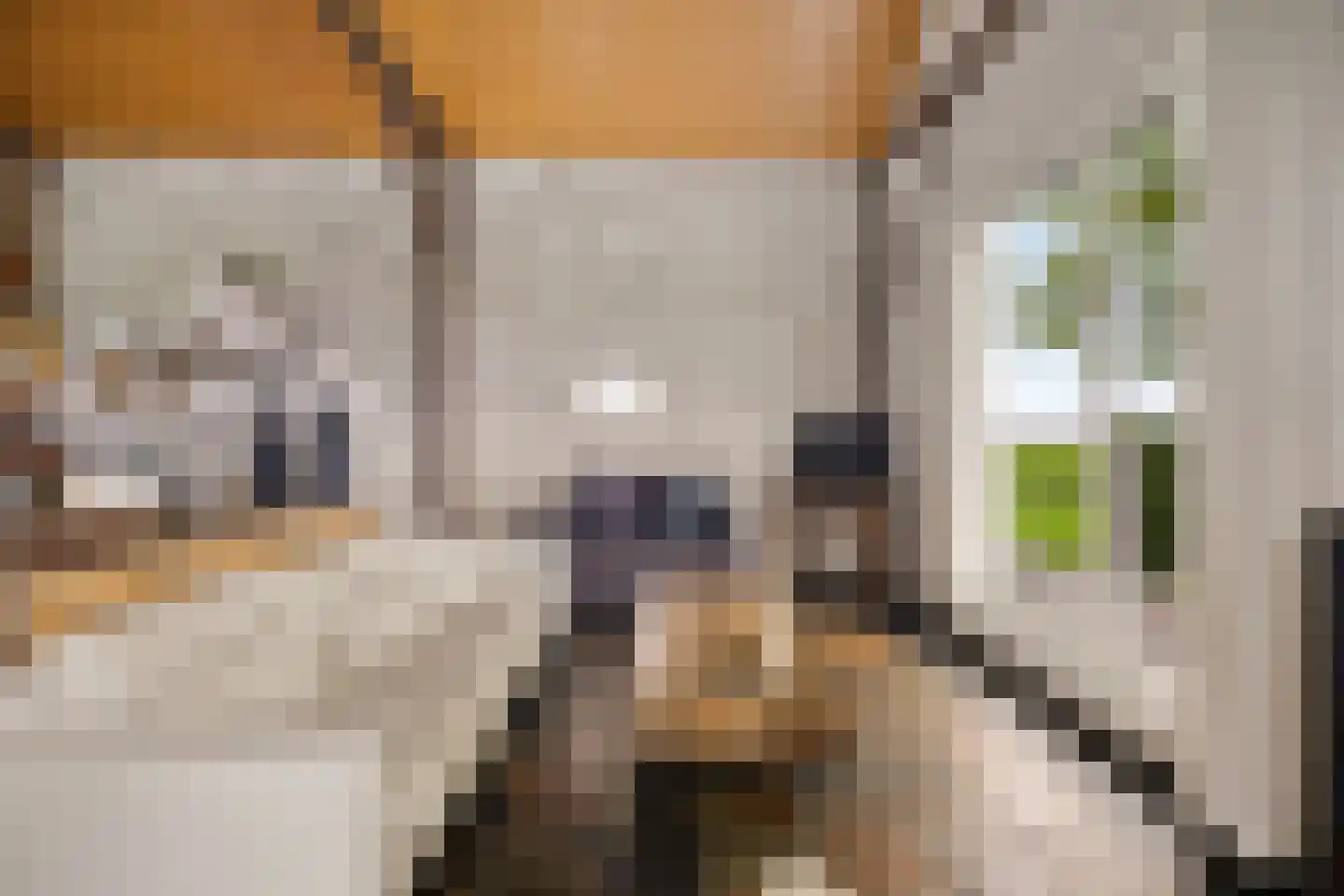 Aldlânsdyk 21 Jelsum thumbnail 70