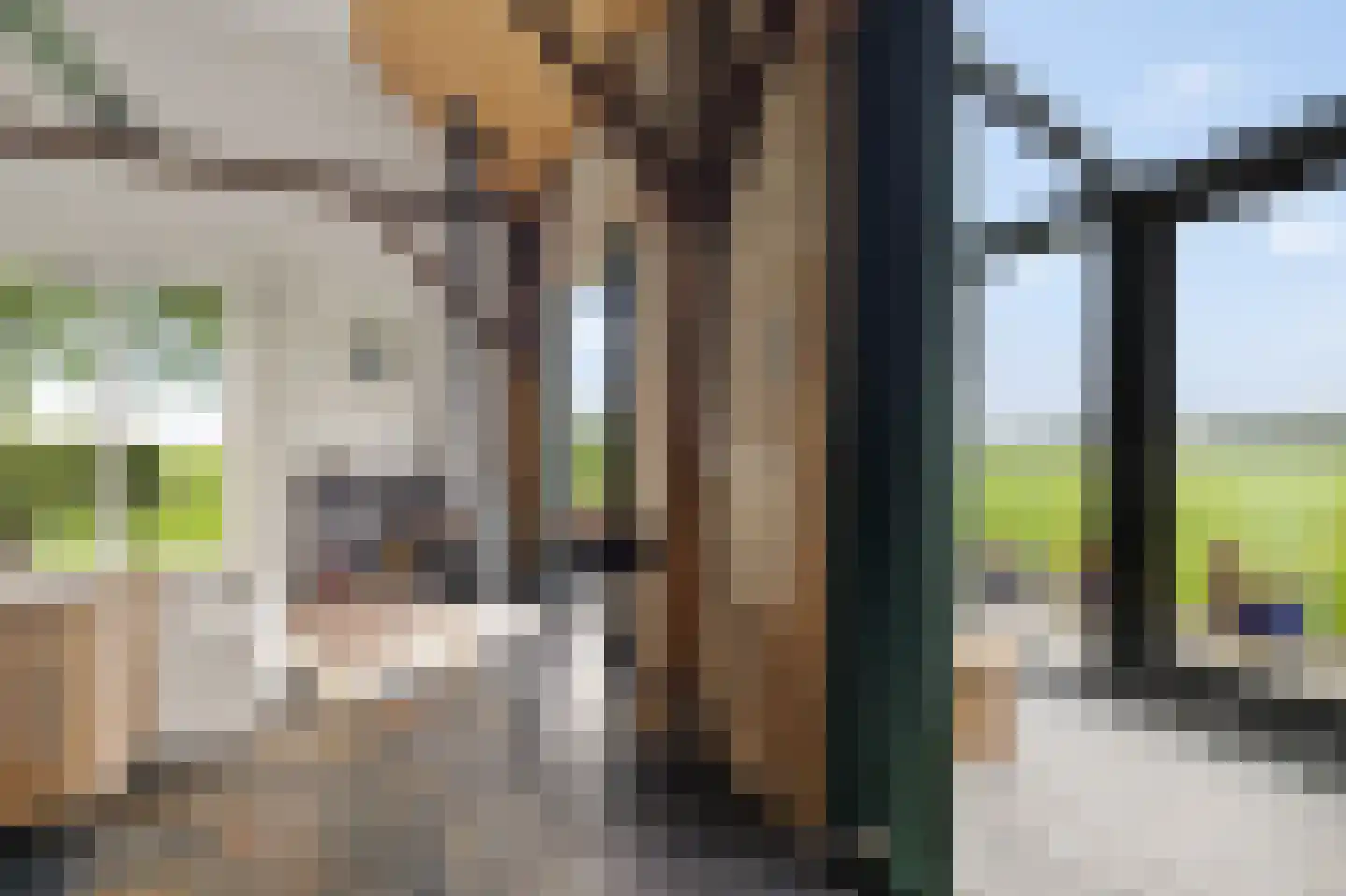 Aldlânsdyk 21 Jelsum thumbnail 71