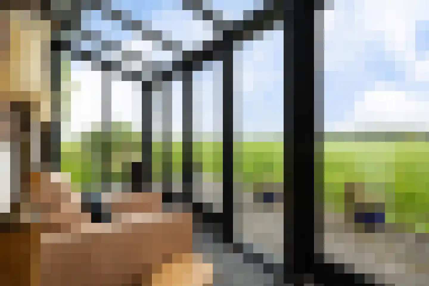 Aldlânsdyk 21 Jelsum thumbnail 72