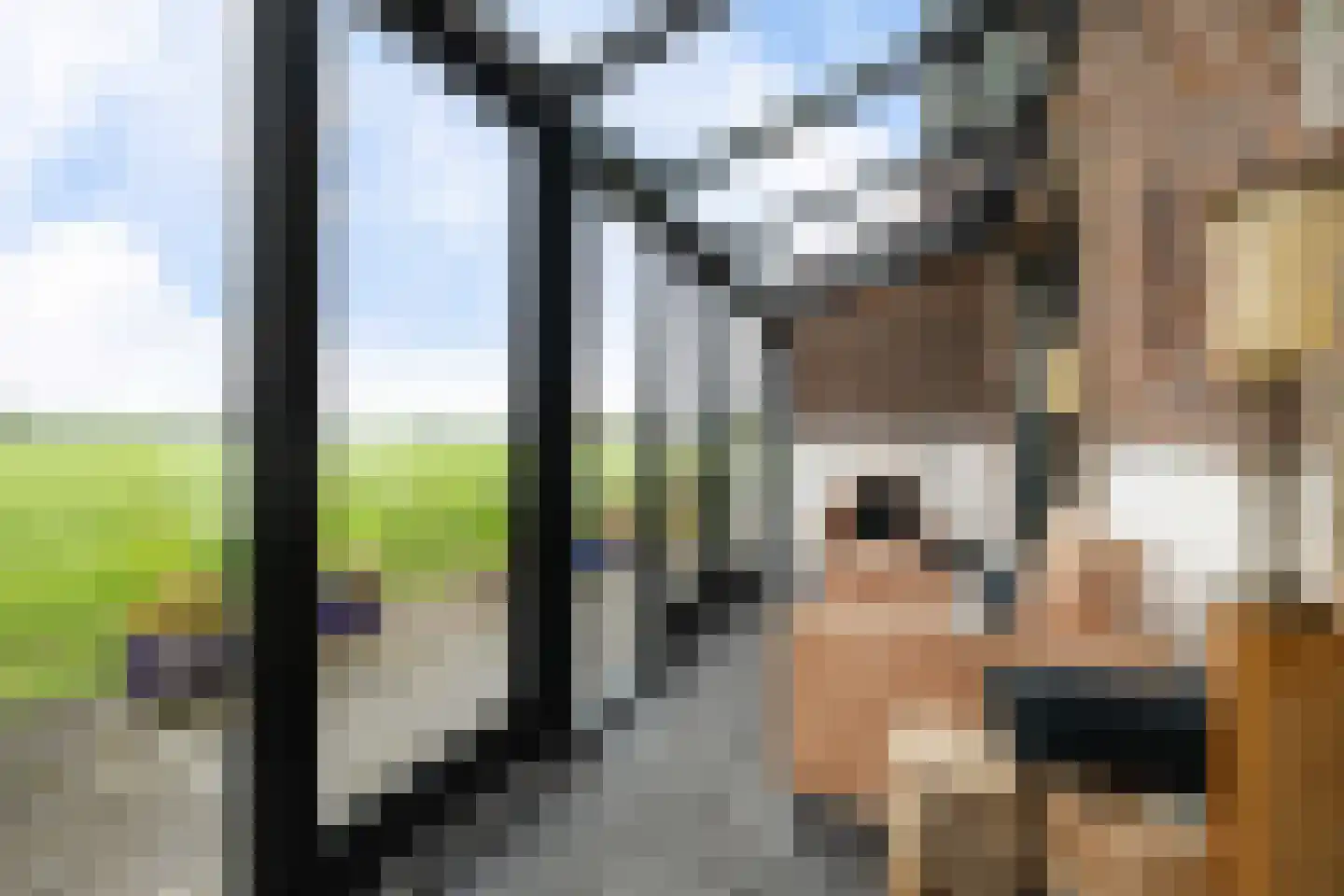 Aldlânsdyk 21 Jelsum thumbnail 73