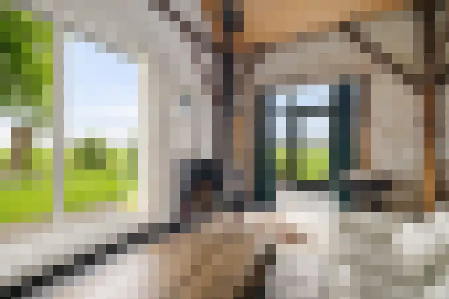 Aldlânsdyk 21 Jelsum thumbnail 74