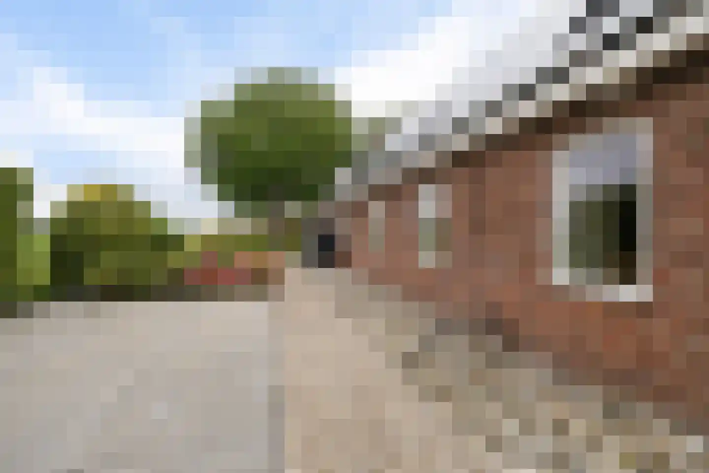 Aldlânsdyk 21 Jelsum thumbnail 8