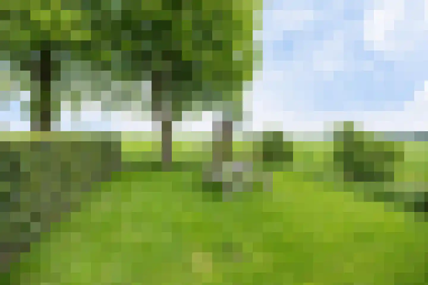Aldlânsdyk 21 Jelsum thumbnail 84