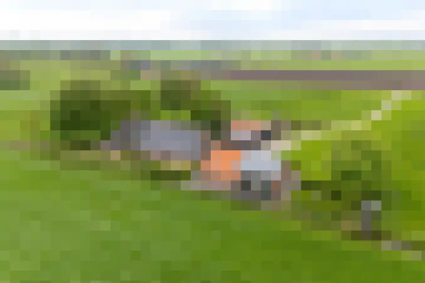 Aldlânsdyk 21 Jelsum thumbnail 85