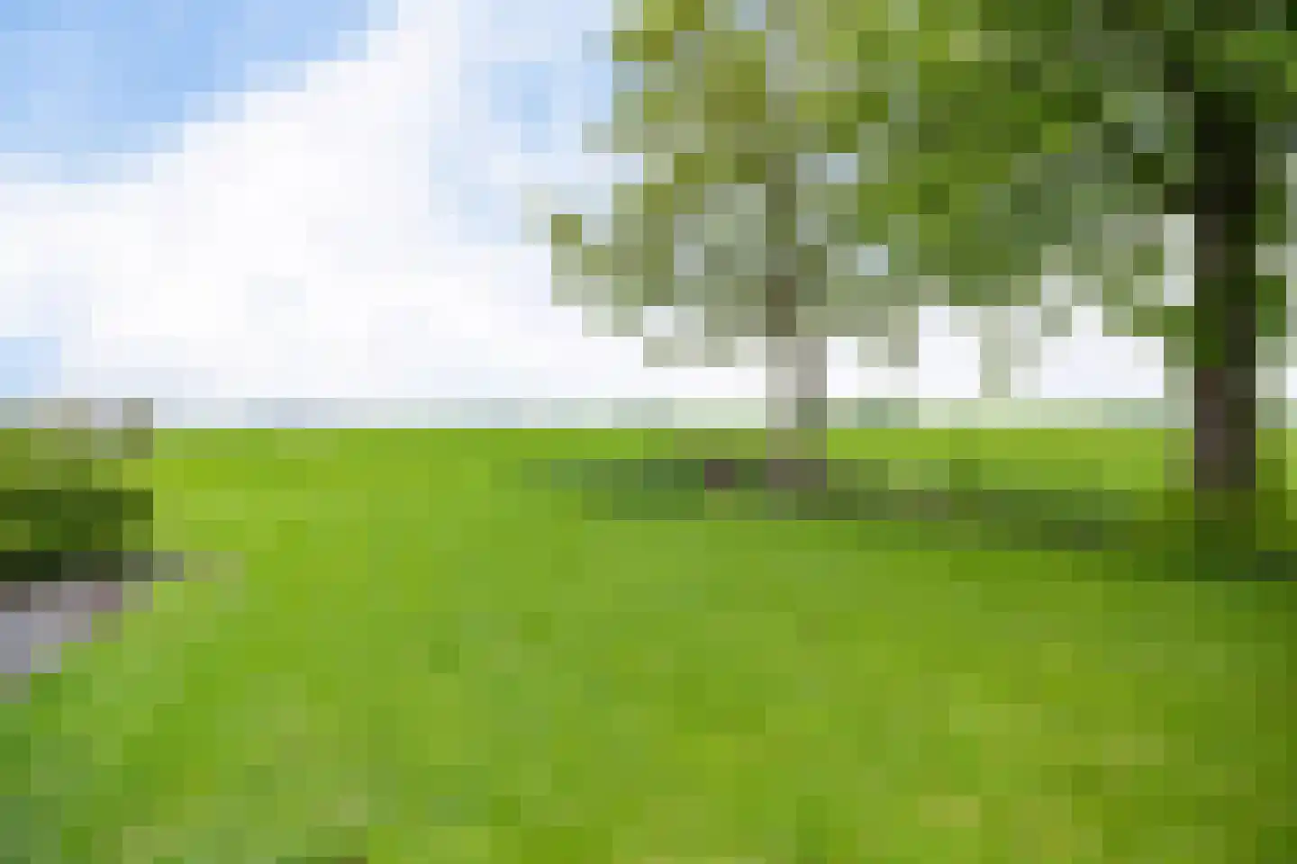 Aldlânsdyk 21 Jelsum thumbnail 86