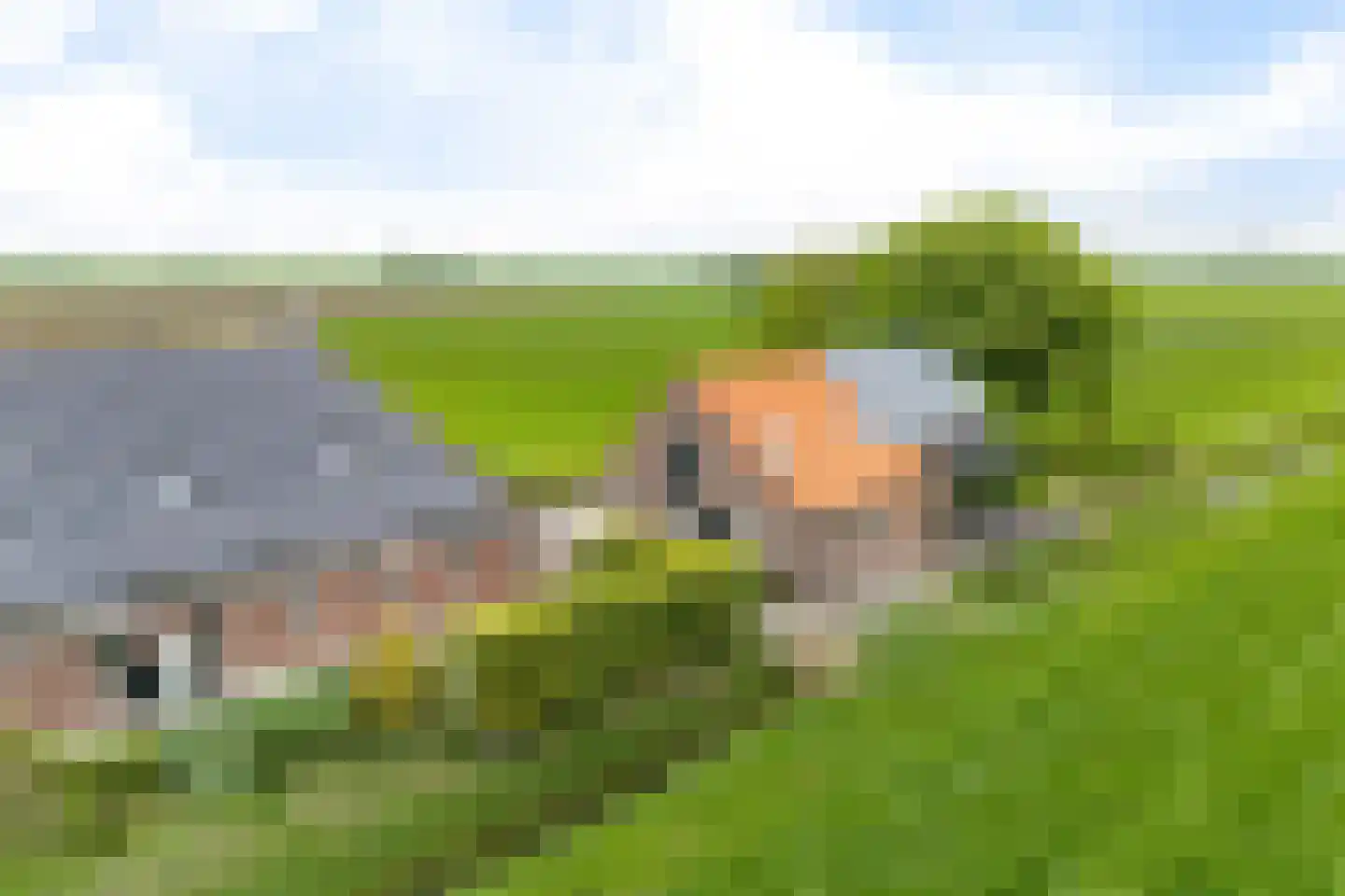 Aldlânsdyk 21 Jelsum thumbnail 87