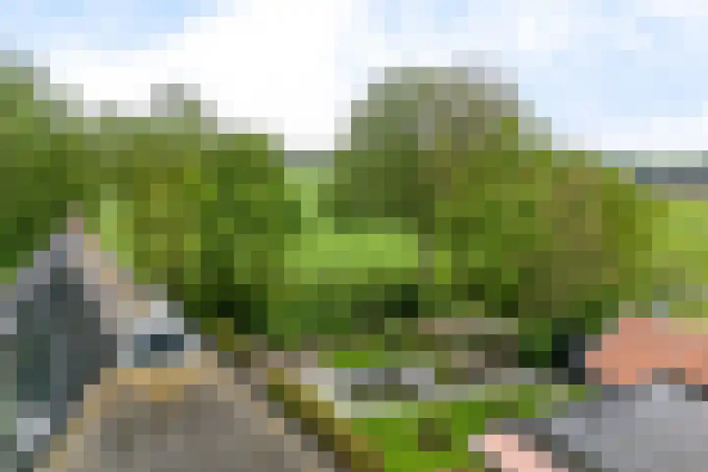Aldlânsdyk 21 Jelsum thumbnail 91