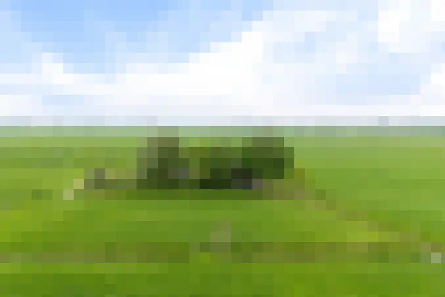 Aldlânsdyk 21 Jelsum thumbnail 92