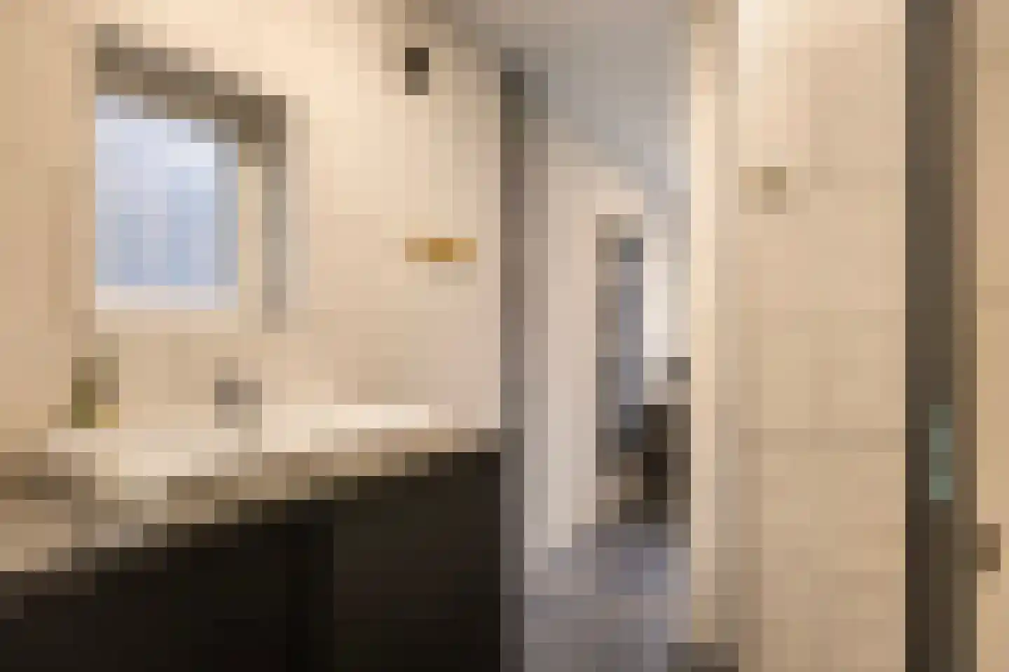 Aldlânsdyk 27 Stiens thumbnail 18
