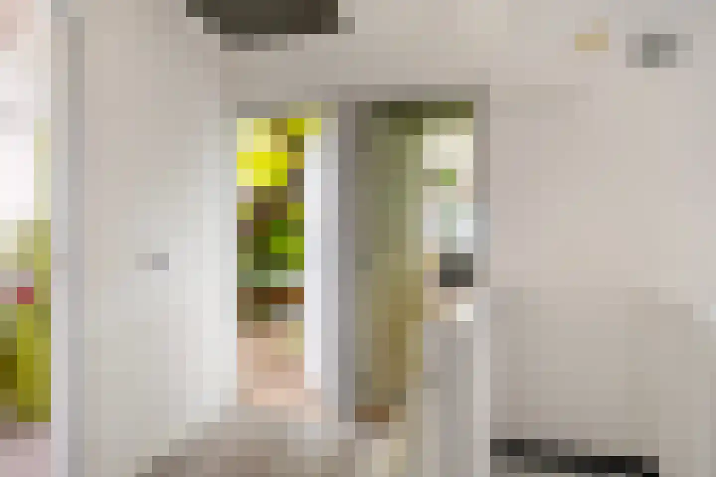 Aldlânsdyk 27 Stiens thumbnail 24