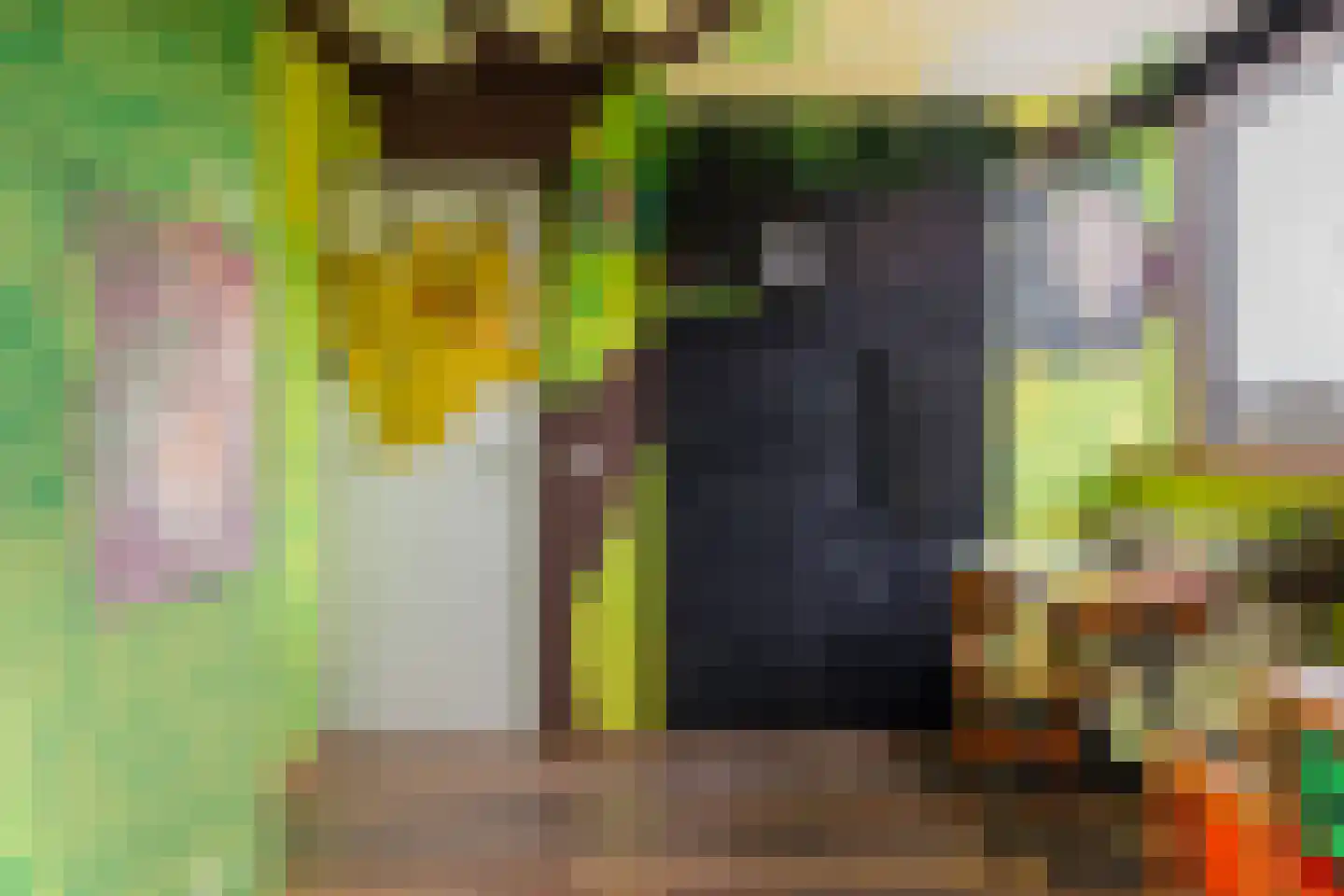 Aldlânsdyk 27 Stiens thumbnail 25