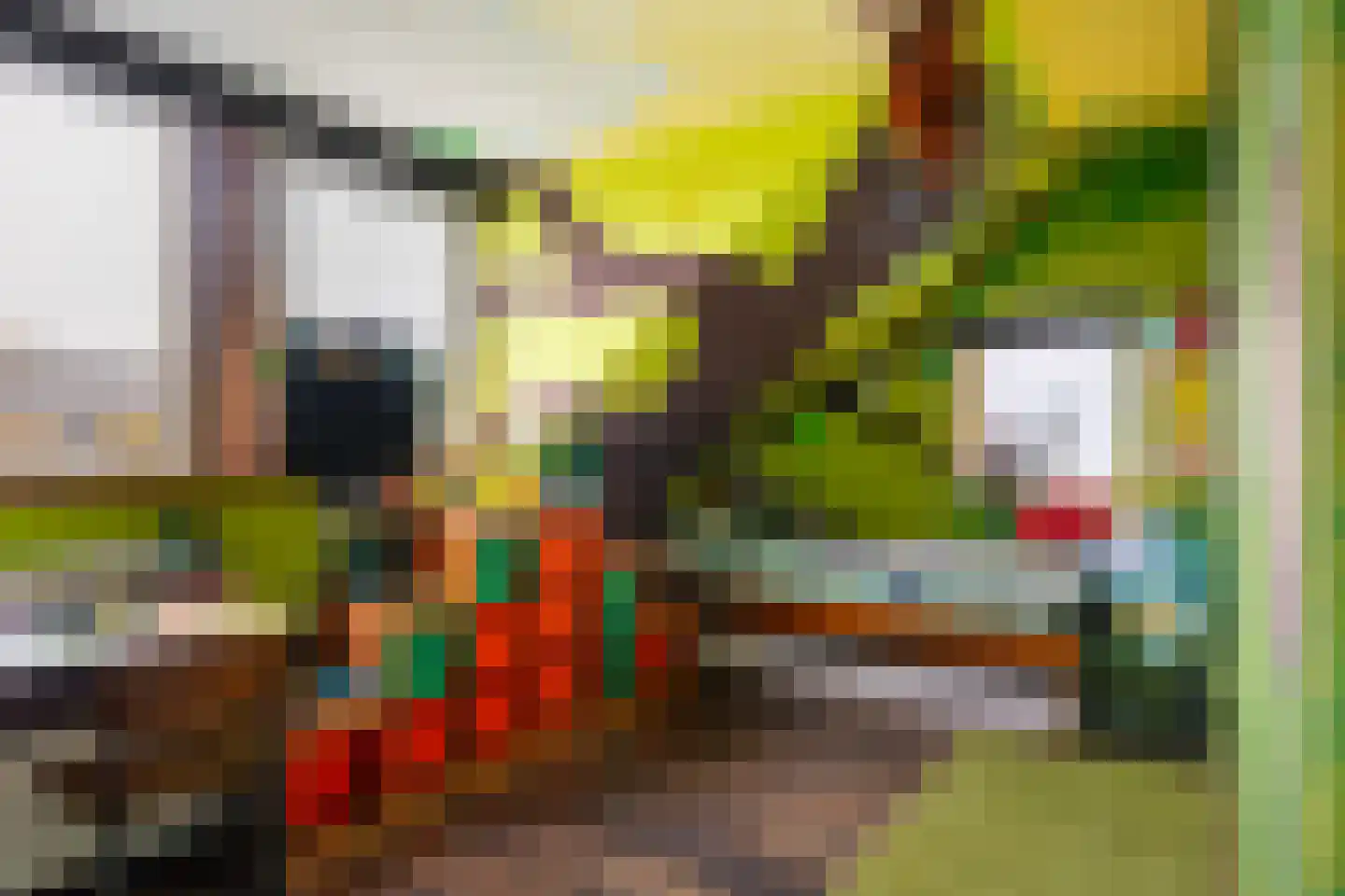 Aldlânsdyk 27 Stiens thumbnail 26