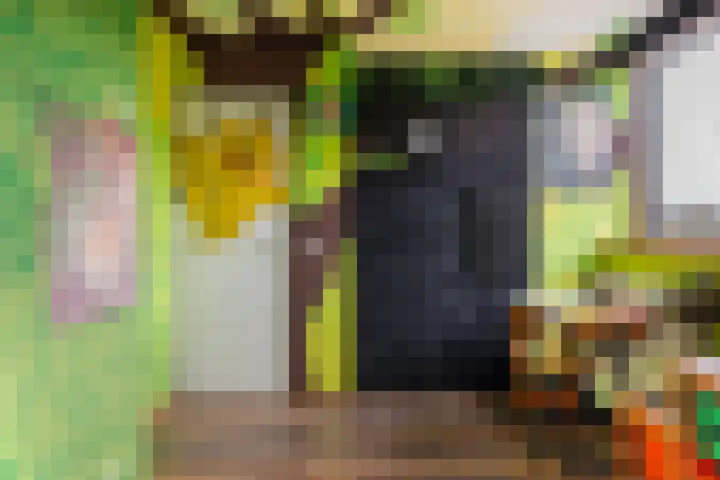 Aldlânsdyk 27 Stiens thumbnail 27