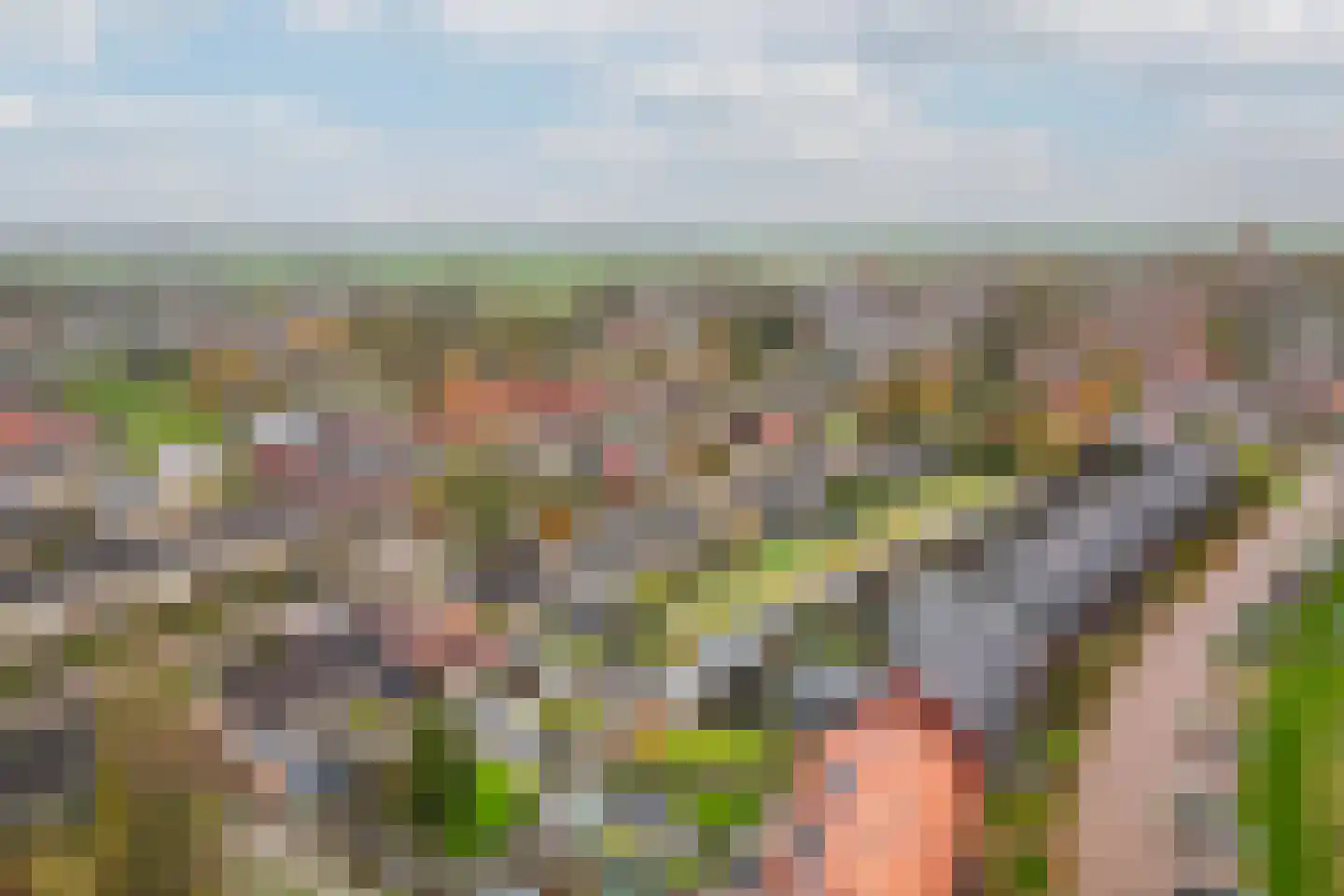 Aldlânsdyk 27 Stiens thumbnail 42