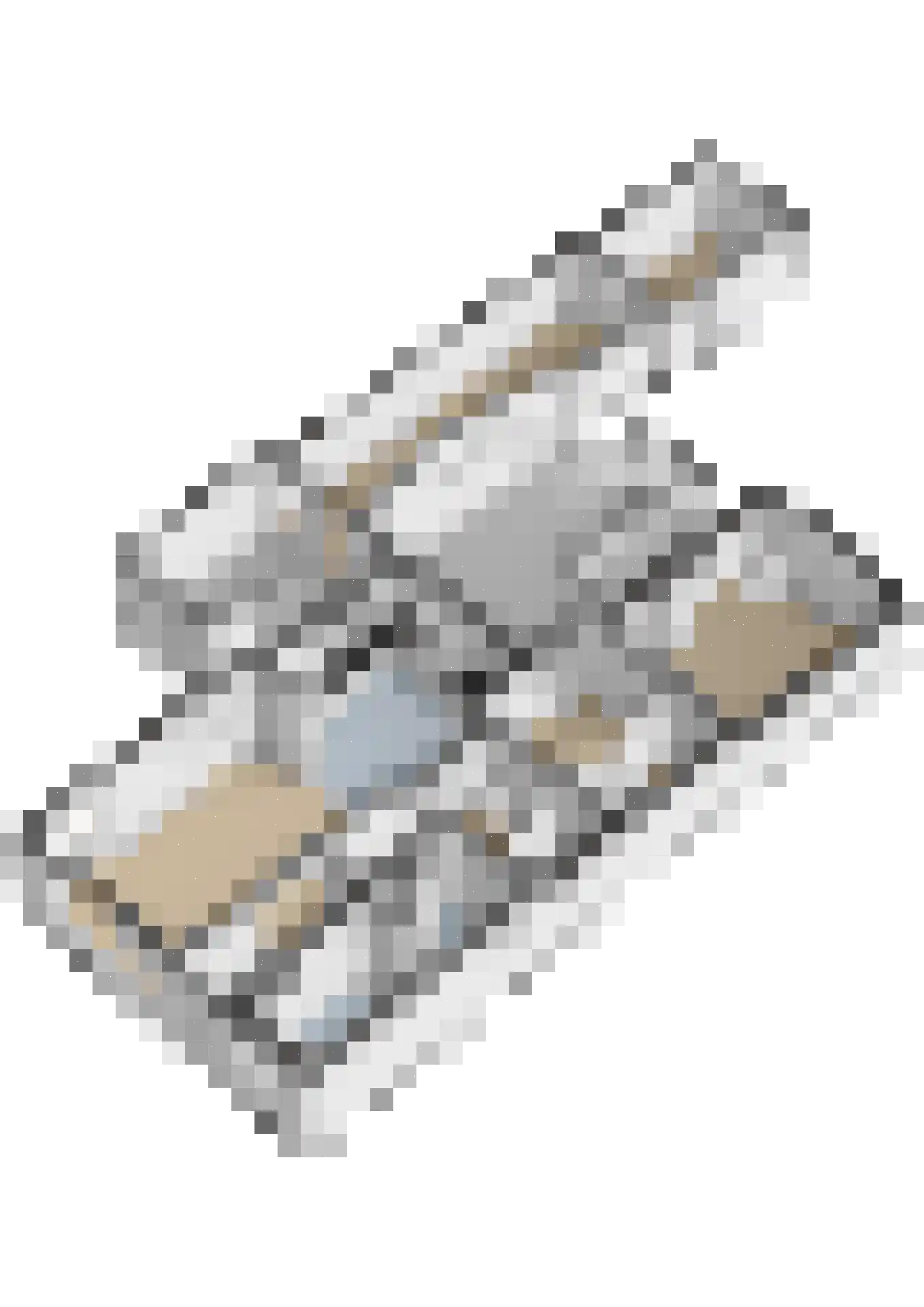Aldlânsdyk 27 Stiens thumbnail 44
