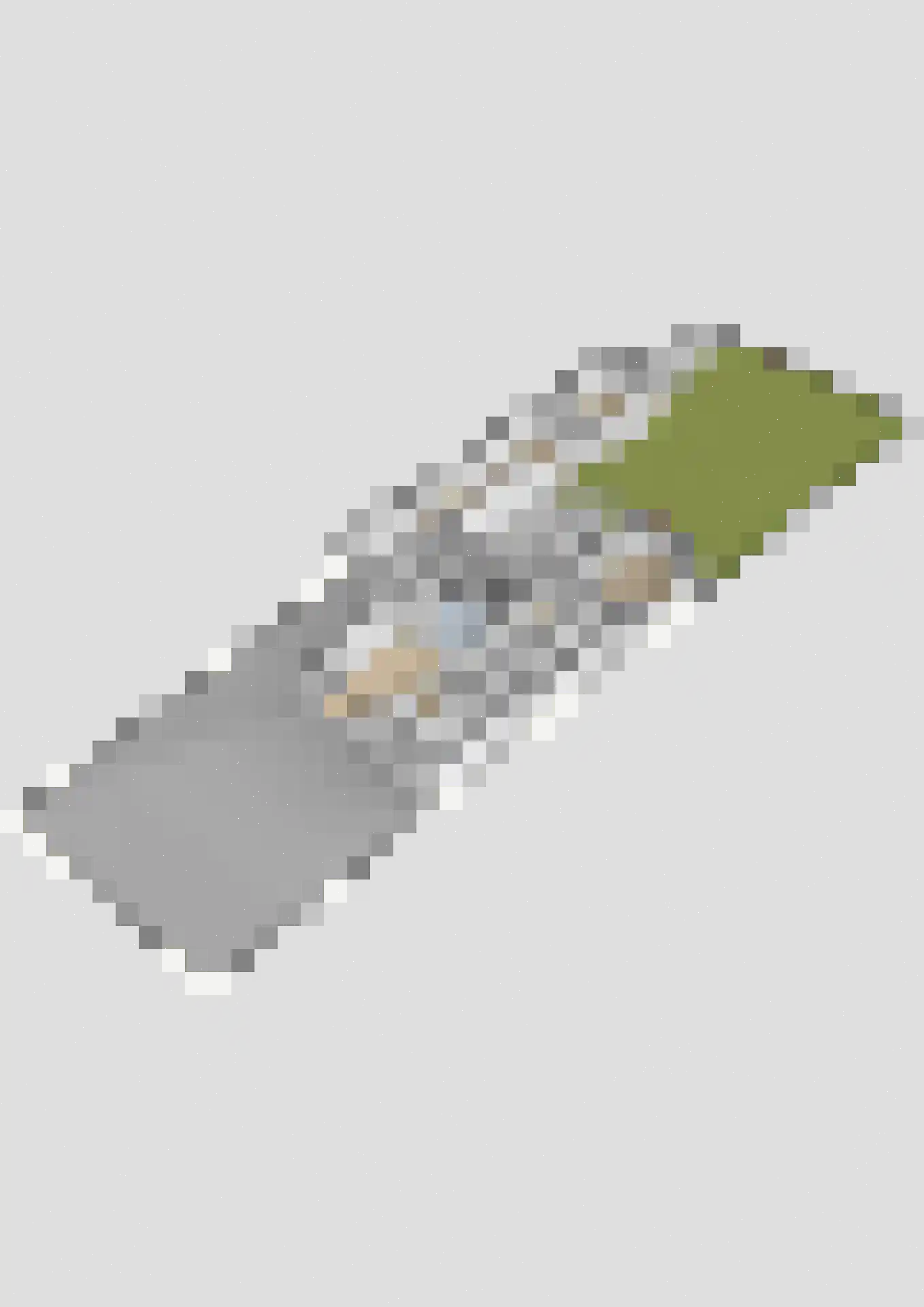 Aldlânsdyk 27 Stiens thumbnail 50