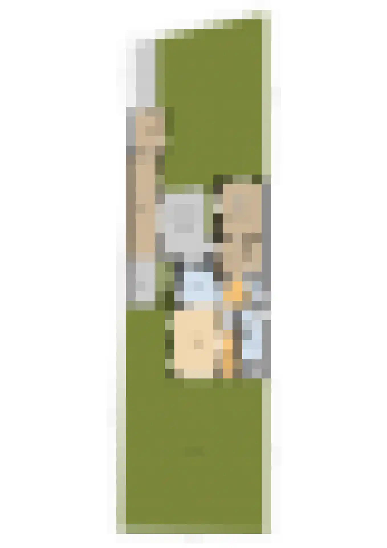 Aldlânsdyk 27 Stiens thumbnail 54