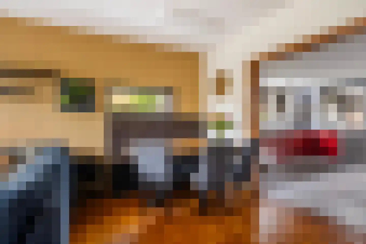 Aldlânsdyk 27 Stiens thumbnail 7
