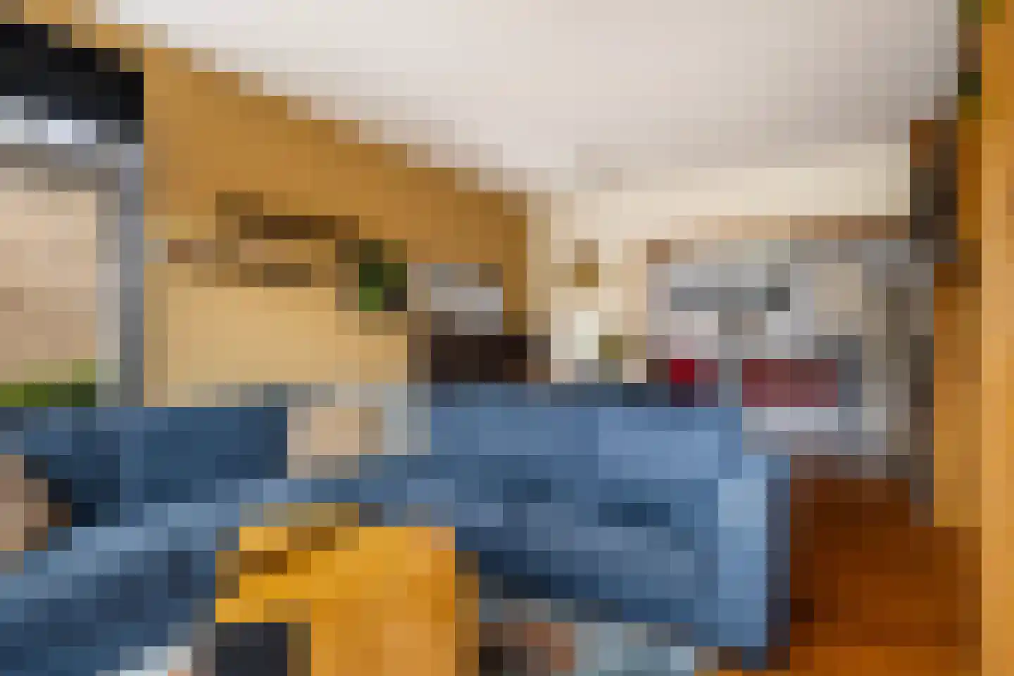 Aldlânsdyk 27 Stiens thumbnail 8