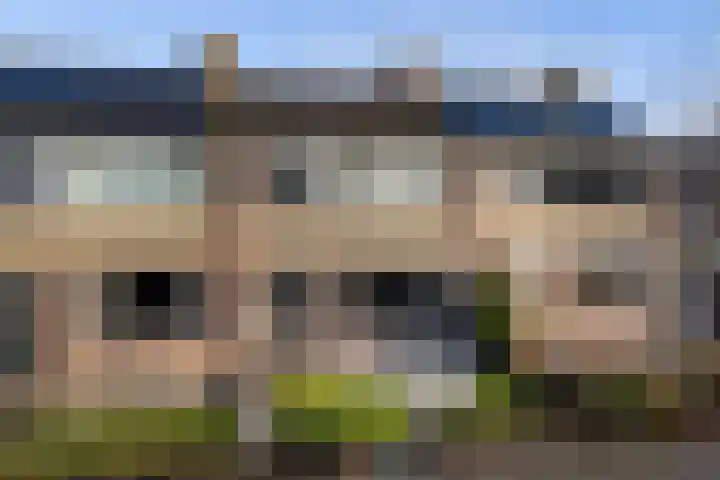 Aldlânsdyk 49 en Stiens
