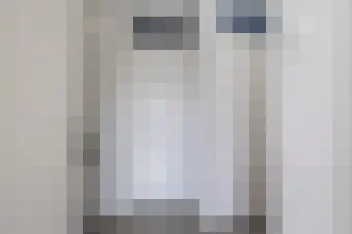 Aldlânsdyk 49 Stiens thumbnail 14