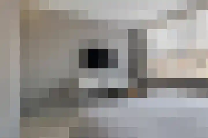 Aldlânsdyk 49 Stiens thumbnail 16