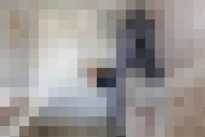 Aldlânsdyk 49 Stiens thumbnail 18