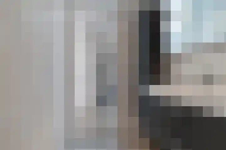 Aldlânsdyk 49 Stiens thumbnail 22