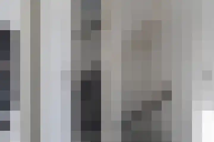Aldlânsdyk 49 Stiens thumbnail 23