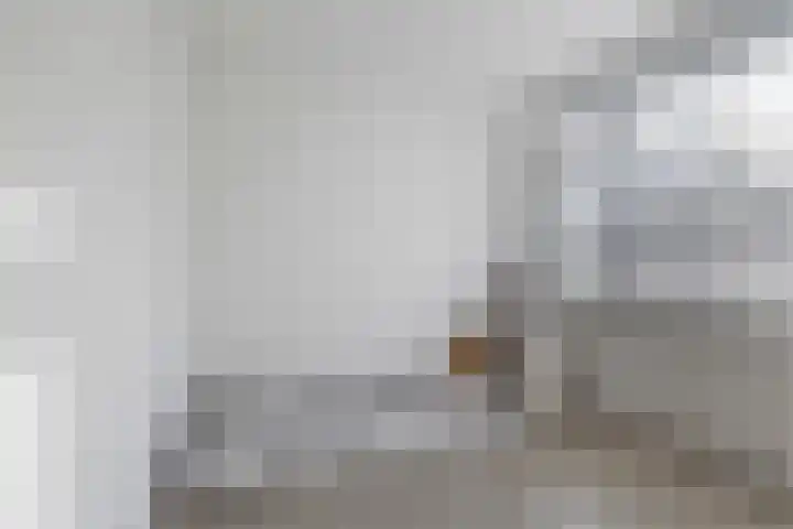 Aldlânsdyk 49 Stiens thumbnail 25