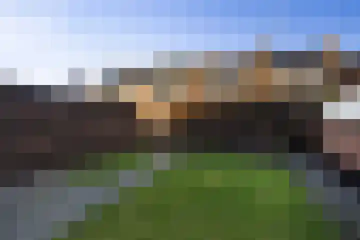 Aldlânsdyk 49 Stiens thumbnail 27