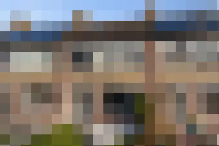 Aldlânsdyk 49 Stiens thumbnail 32