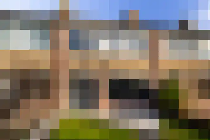 Aldlânsdyk 49 Stiens thumbnail 33