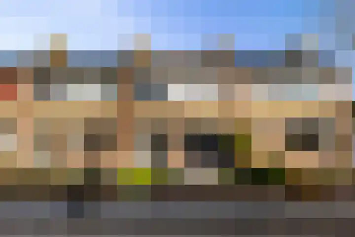 Aldlânsdyk 49 Stiens thumbnail 34