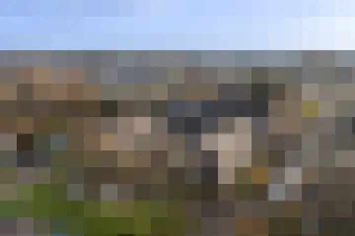 Aldlânsdyk 49 Stiens thumbnail 37