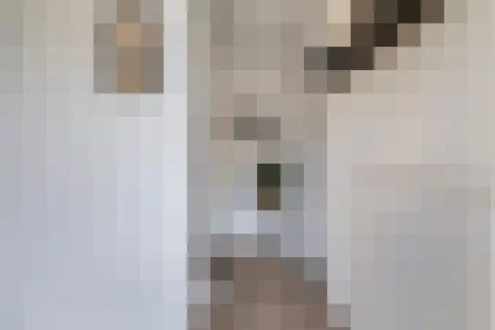 Aldlânsdyk 49 Stiens thumbnail 4