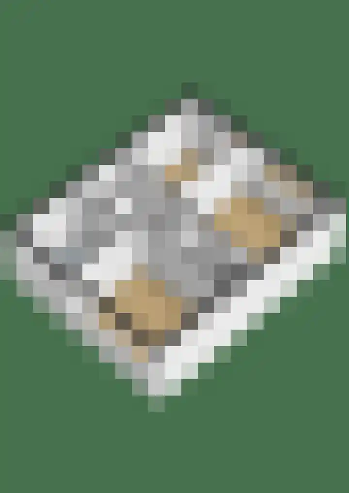 Aldlânsdyk 49 Stiens thumbnail 42