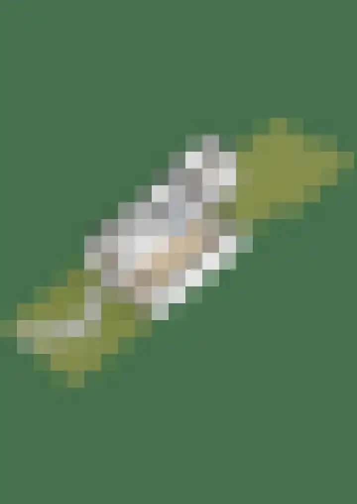 Aldlânsdyk 49 Stiens thumbnail 46