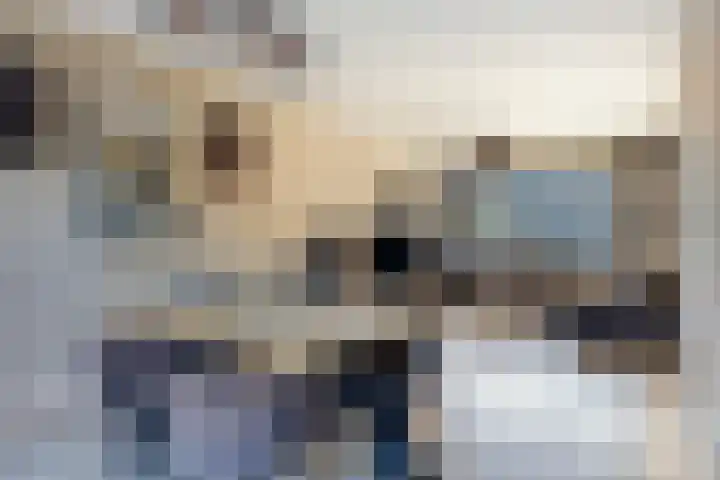 Aldlânsdyk 49 Stiens thumbnail 7