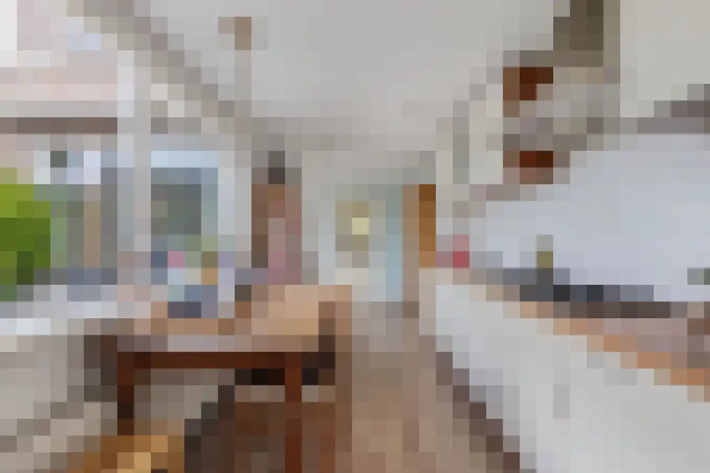 Aldlânsdyk 62 Stiens thumbnail 17