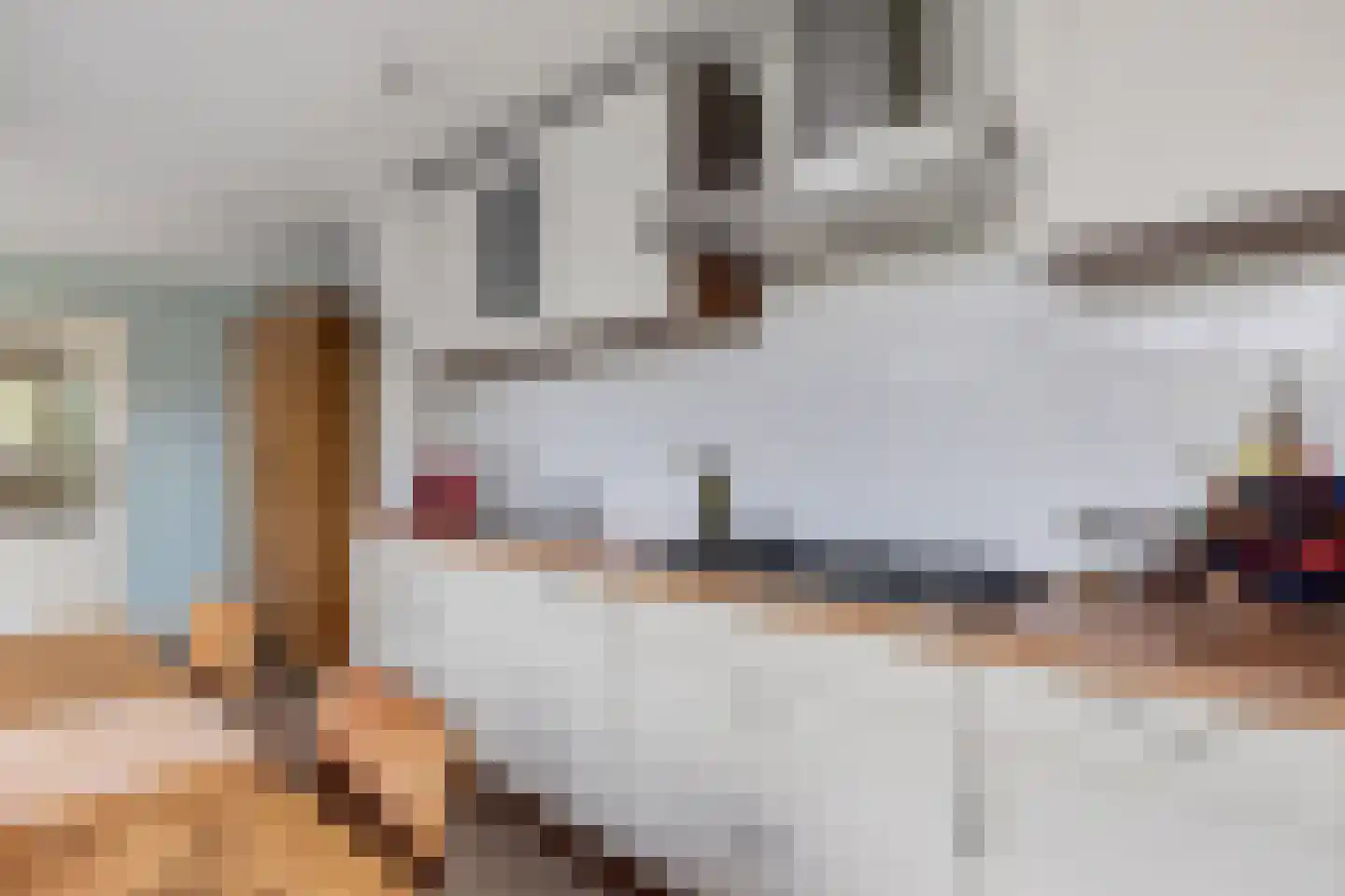 Aldlânsdyk 62 Stiens thumbnail 18