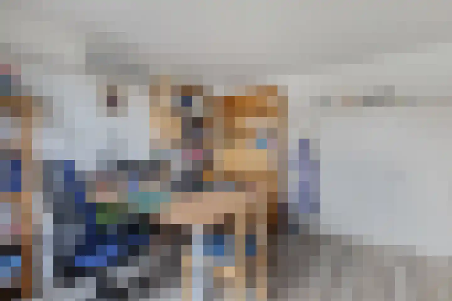 Aldlânsdyk 62 Stiens thumbnail 22